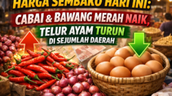 Harga Sembako Hari Ini: Cabai dan Bawang Merah Naik, Telur Ayam Turun di Sejumlah Daerah