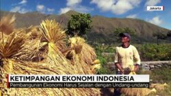 Ketimpangan Sosial dalam Perspektif Nasional