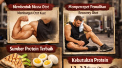 Peran Protein dalam Dunia Fitness: Kunci Utama Pembentukan Otot dan Pemulihan Tubuh Peran Protein dalam Dunia Fitness: Kunci Utama Pembentukan Otot dan Pemulihan Tubuh